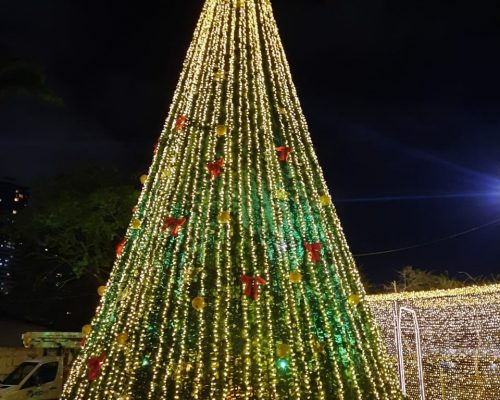 NATAL UL