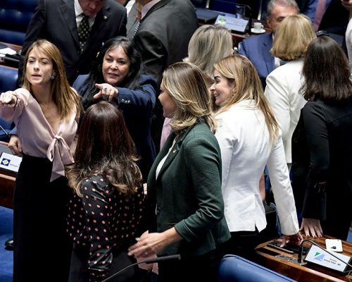 bancada feminina