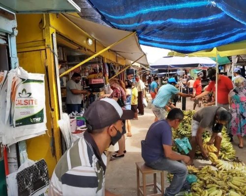 feira de campinaa